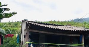 dieu tra nguyen nhan be trai 12 tuoi bi sat hai o lao cai 2669