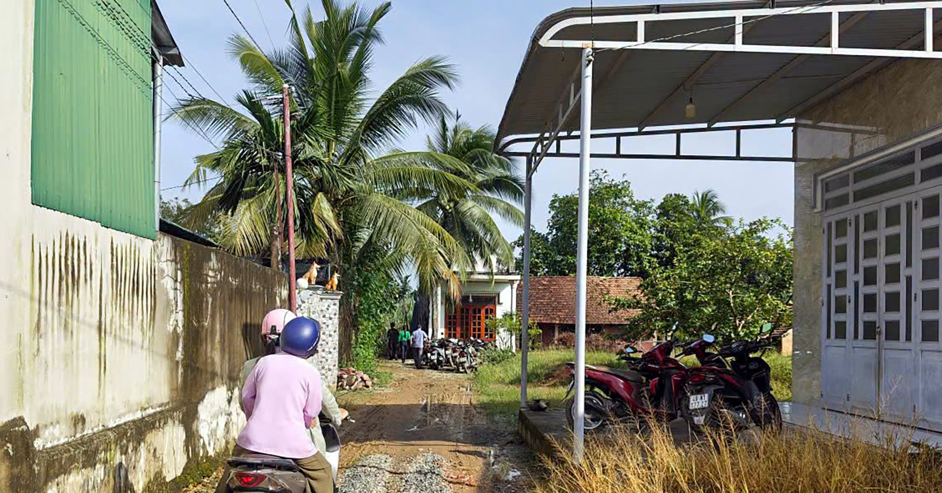 Dieu Tra Vu Nam Sinh Lop 5 Tu Vong Tai Nha 1008