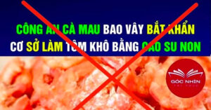 doi tuong tung tin gia tom kho ca mau lam bang cao su non bi bat o ha noi 2582