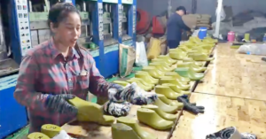 duong day san xuat dep gia thuong hieu crocs khung thu loi hang chuc ty dong 1022