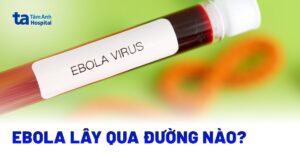 ebola lay qua duong nao