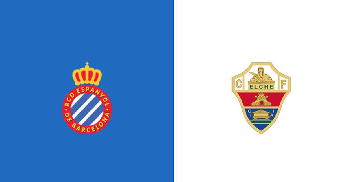 Elche 17896927510951049184089 0 0 386 738 Crop 17896930095902137870961