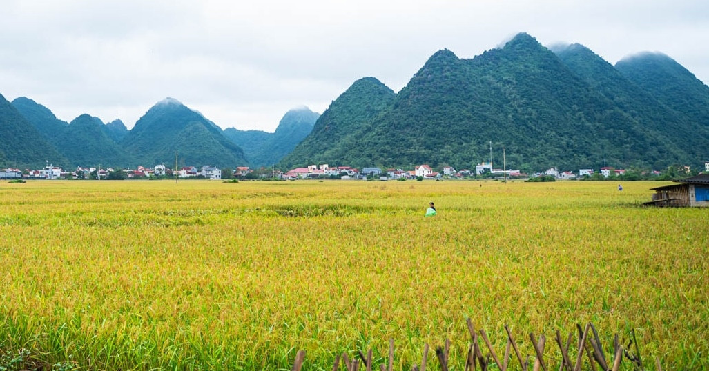 Em Dau Giam Doc Luong 70 Trieu Bat Binh Vi Phai Gui Bo Me Chong 5 Trieuthang 6F7442F0A14D476B94C5E39