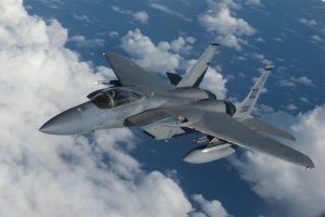 f 15 my