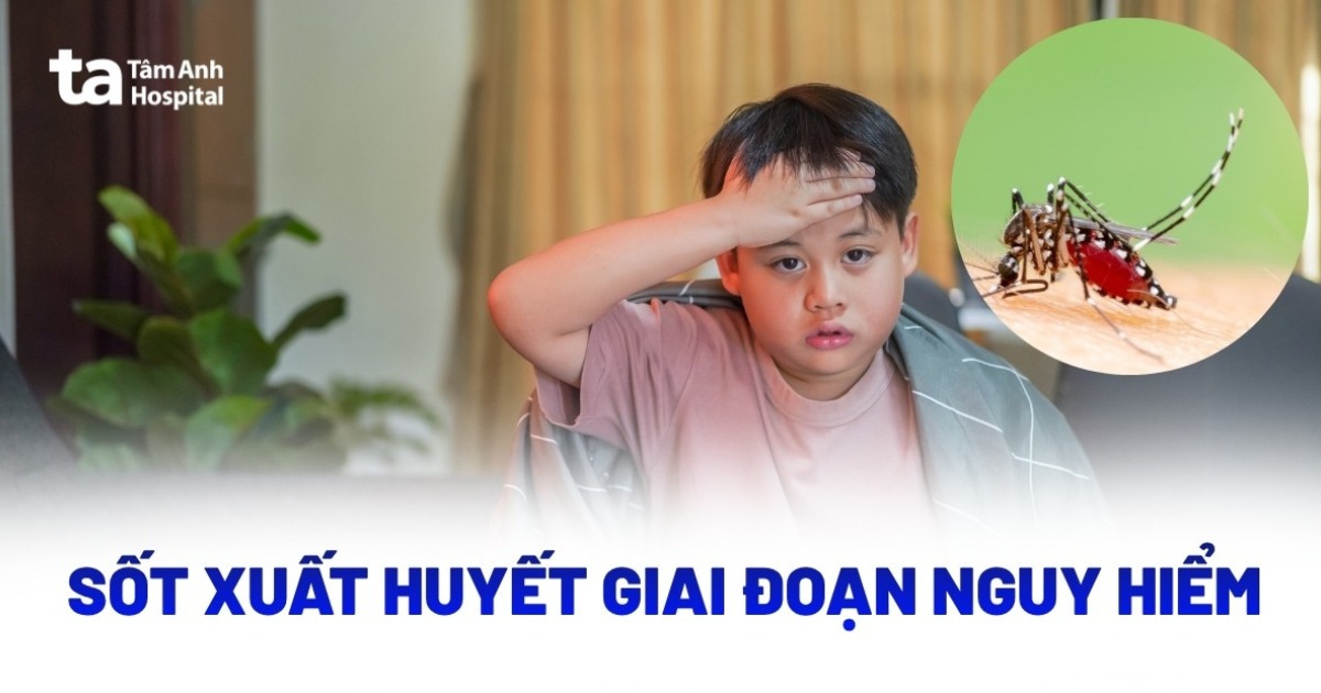 Giai Doan Nguy Hiem Sot Xuat Huyet