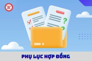 Hanh Phuc 240