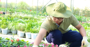 Hoc Vien Nong Nghiep Viet Nam Cong Bo Diem San Xet Tuyen Nam 2026 2152
