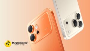 honor 600 series 6639166159510124903