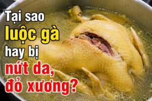 img5656 1000