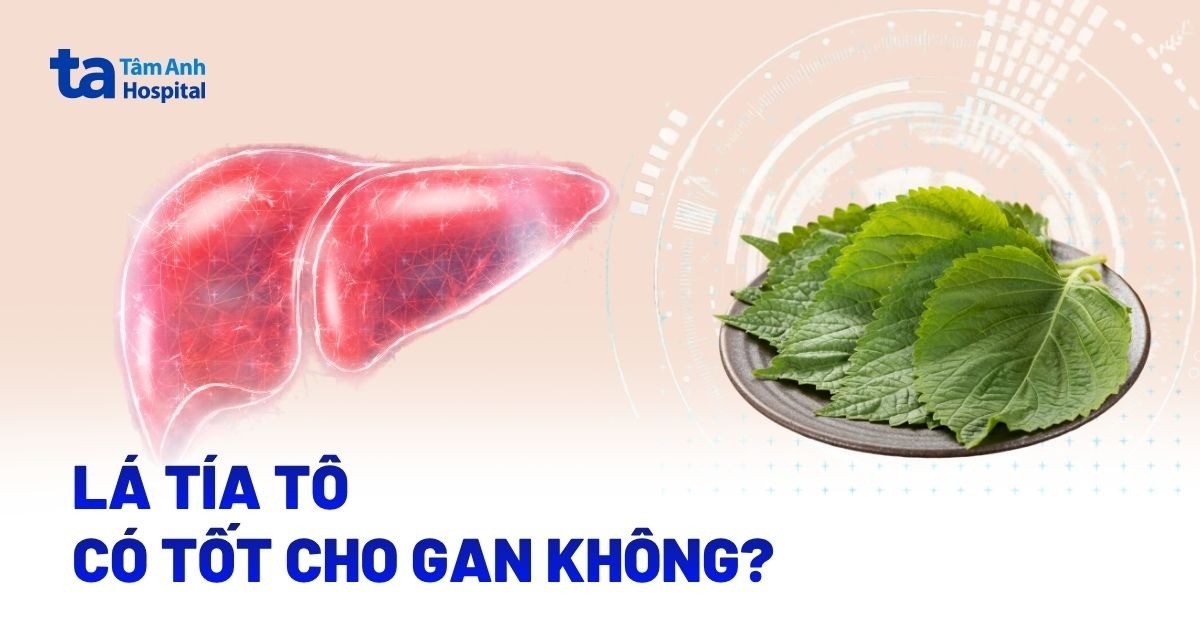 La Tia To Co Tot Cho Gan Khong