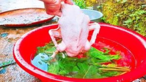 meo nho long vit cuc de khong con mot cong long mang chi trong 10 phut 151512