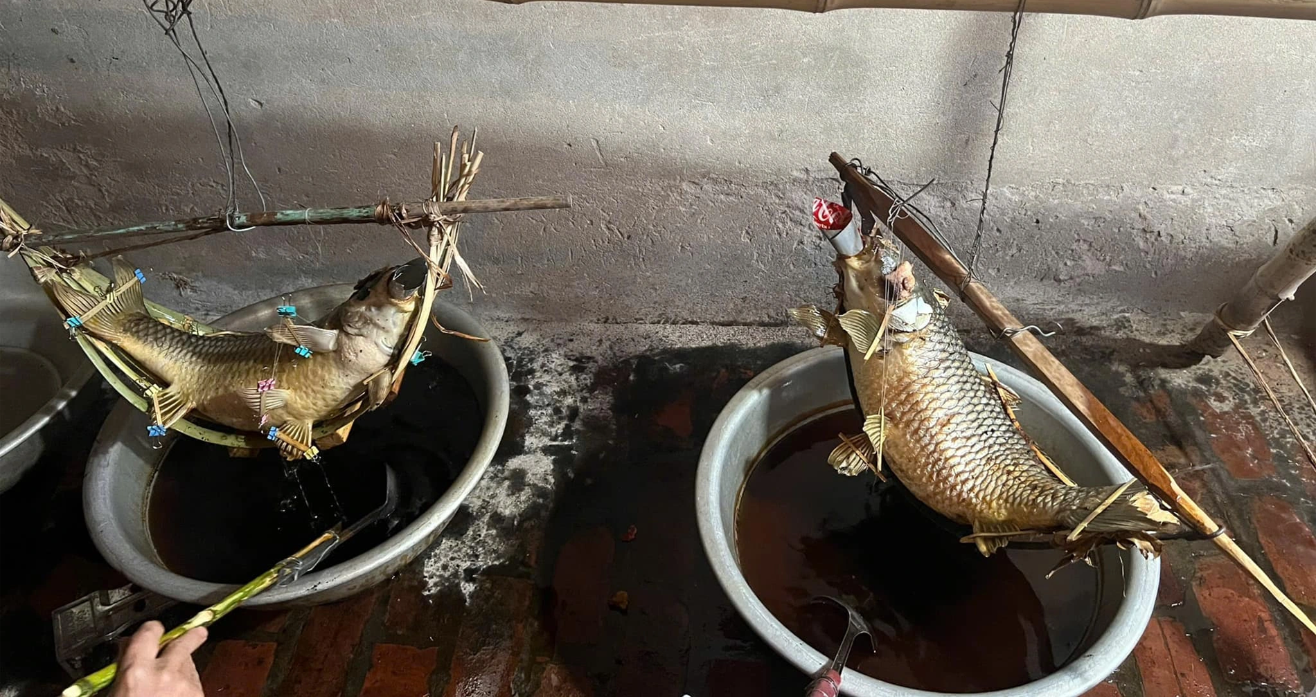 Mon Ca Nam Vong Tuoi Dau 8 10 Tieng Moi Chin La Dac San O Dau Viet Nam 2348