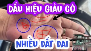 nguoi tai ba xuat chung cang gia cang giau co 3 net tuong nay tren long ban tay do la gi 212959
