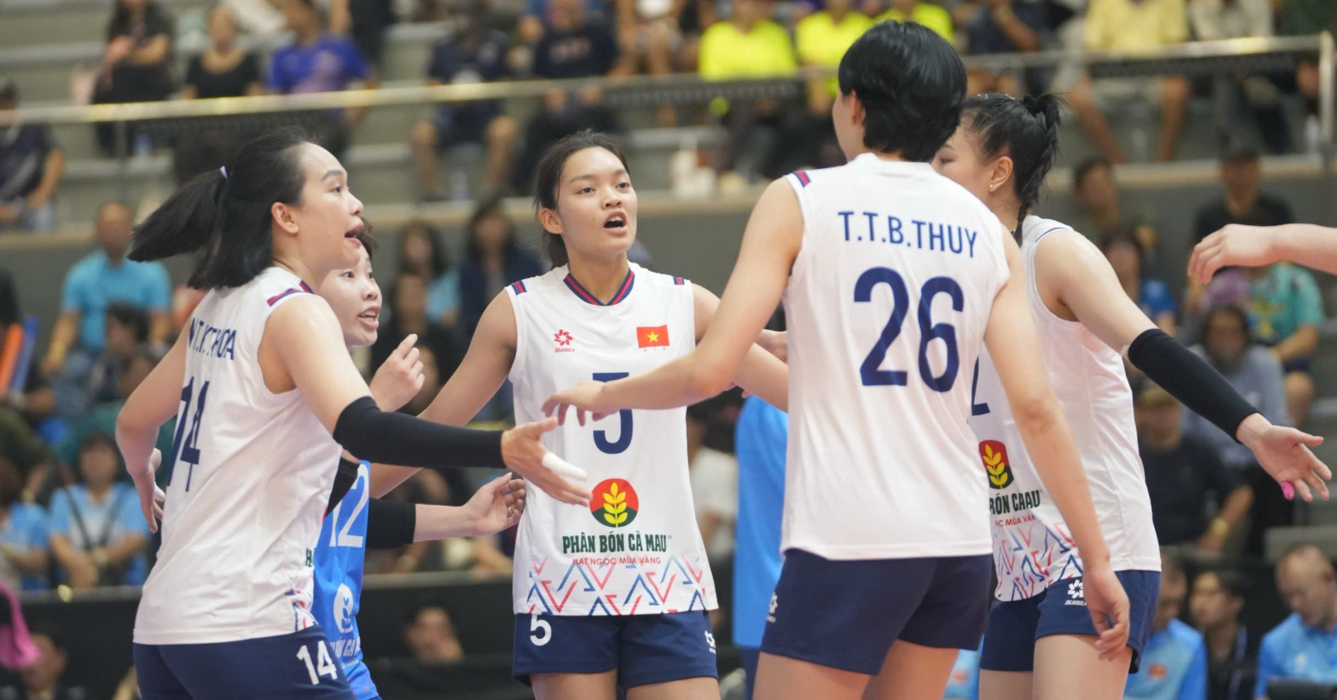 Nhan Dinh Tuyen Bong Chuyen Nu Viet Nam Vs Qatar Thang Tran Dau 2879