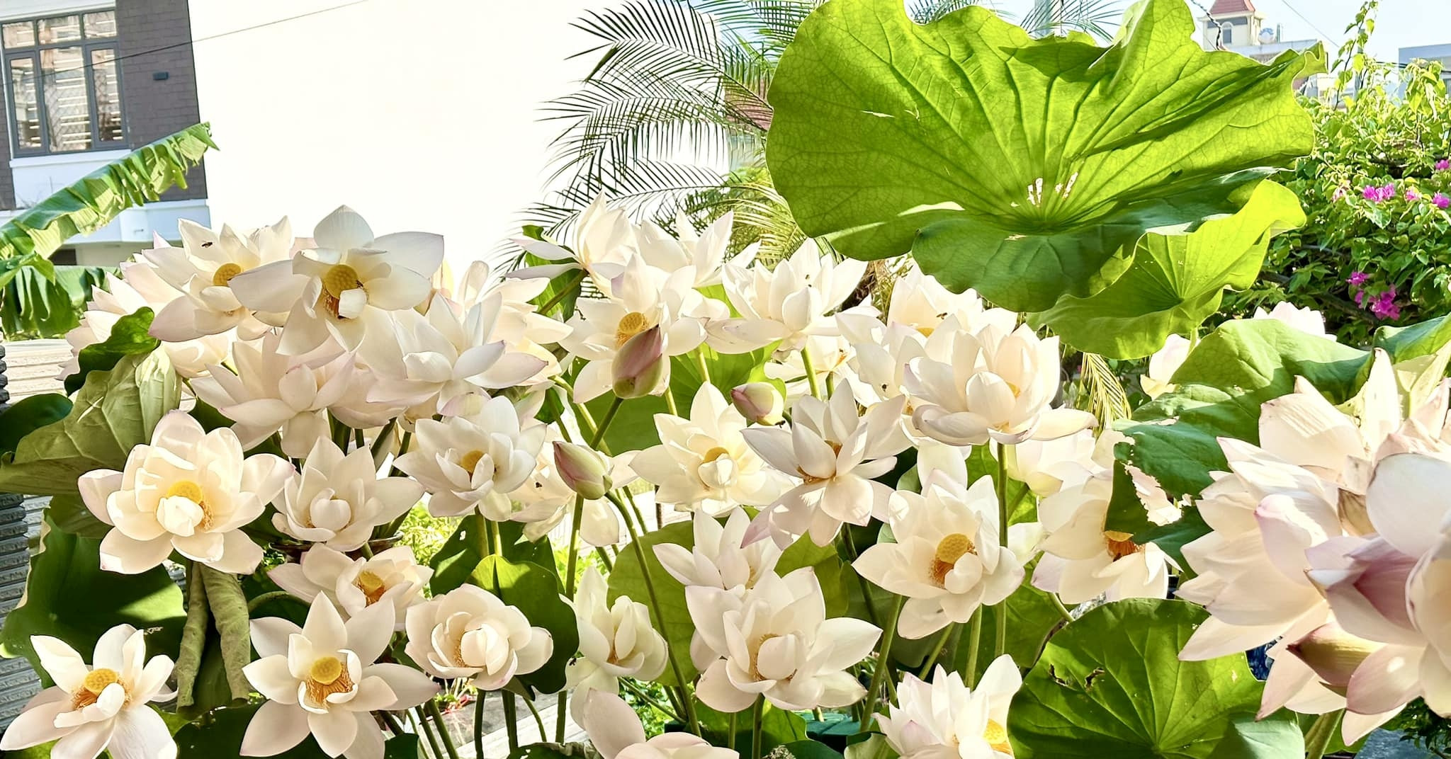 Nhung Dieu Nen Lam Trong Thang Co Hon Nam 2026 1549