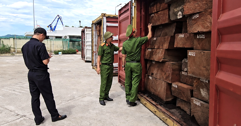 Phat Hien 12 Tan Nga Voi Giau Trong 3 Container Go O Gia Lai 2543