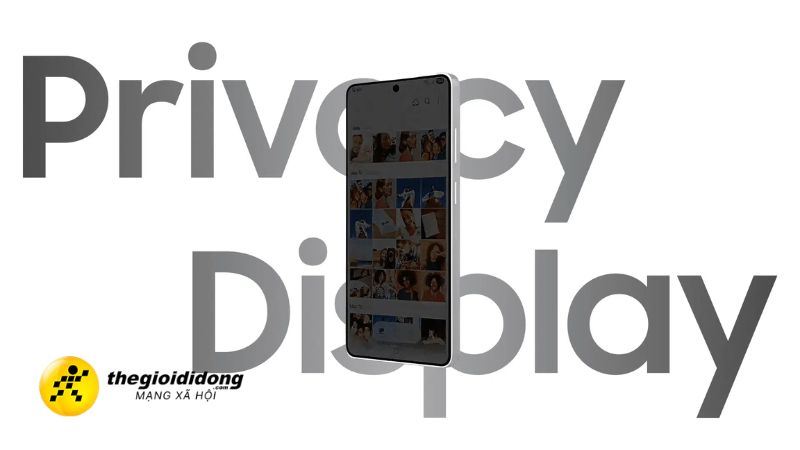 Privacy Display V2 Thumbnail639275660085759900