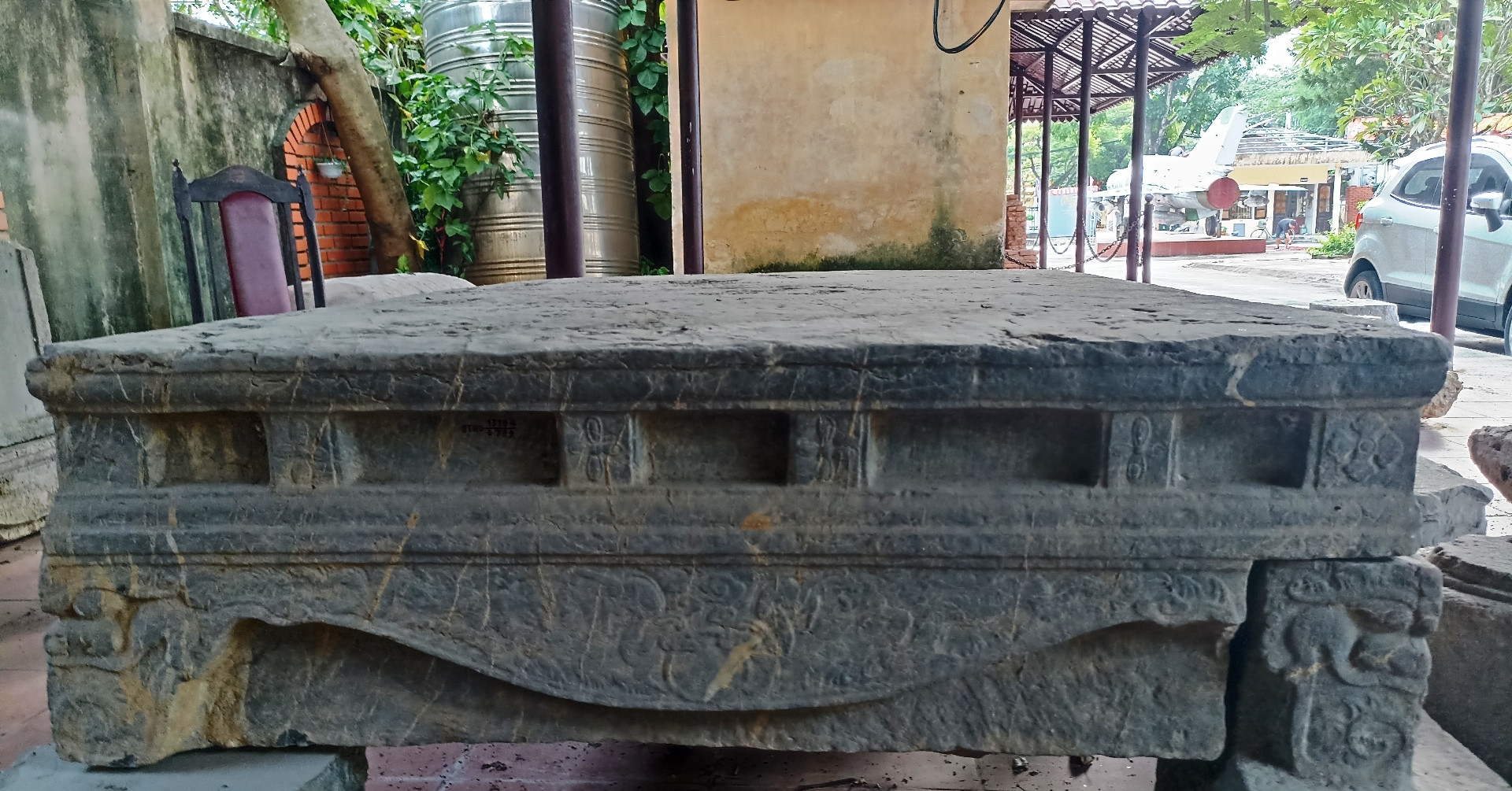 Sap Da Co Giong Bao Vat Quoc Gia Duoc Phat Hien Duoi Ruong 194