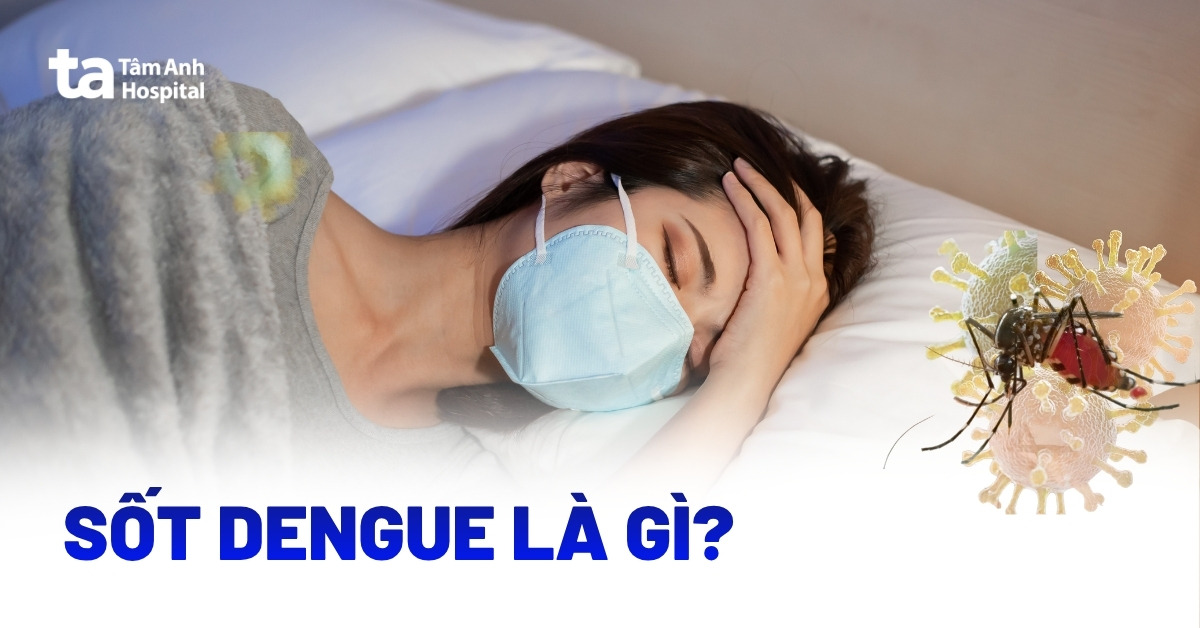 Sot Dengue