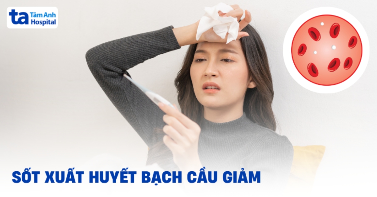 Bị Sốt Xuất Huyết Bạch Cầu Giảm Có Gây Vấn Đề Nào Không? Sot Xuat Huyet Bach Cau Giam