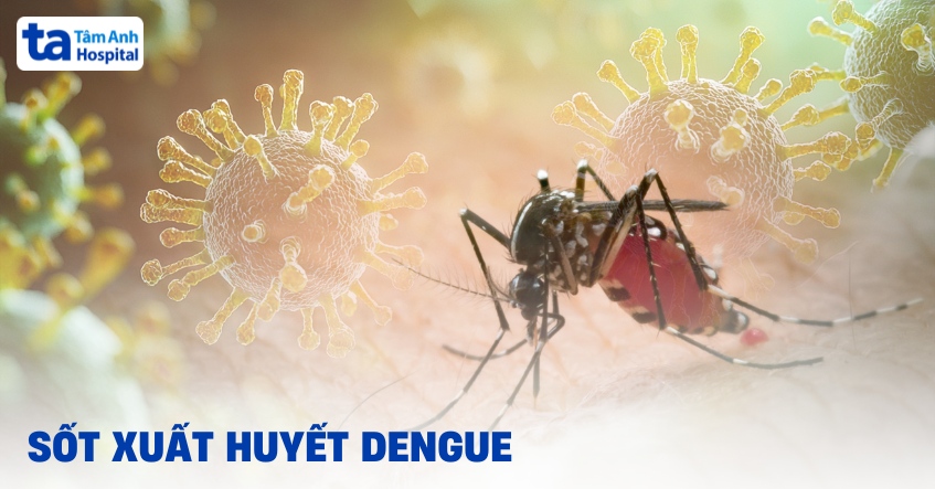 Sot Xuat Huyet Dengue