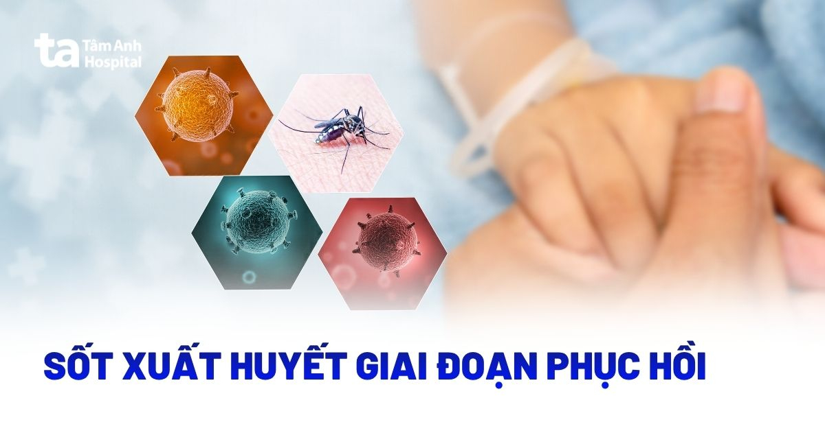 Sot Xuat Huyet Giai Doan Hoi Phuc
