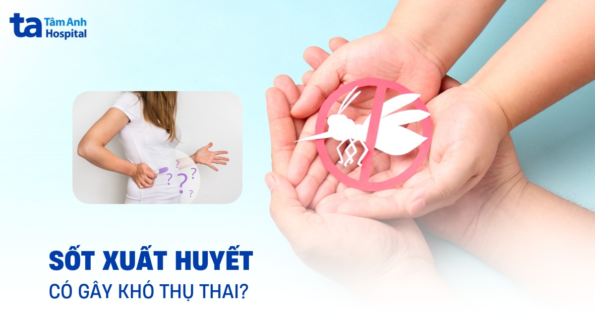 Người Bị Sốt Xuất Huyết Khó Thụ Thai Đúng Hay Không? Sot Xuat Huyet Kho Thu Thai
