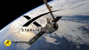 Starlink 2639222298442669329