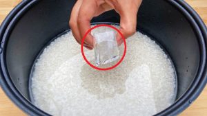 tai sao ban nen cho 1 vien da lanh vao noi com dien 163536