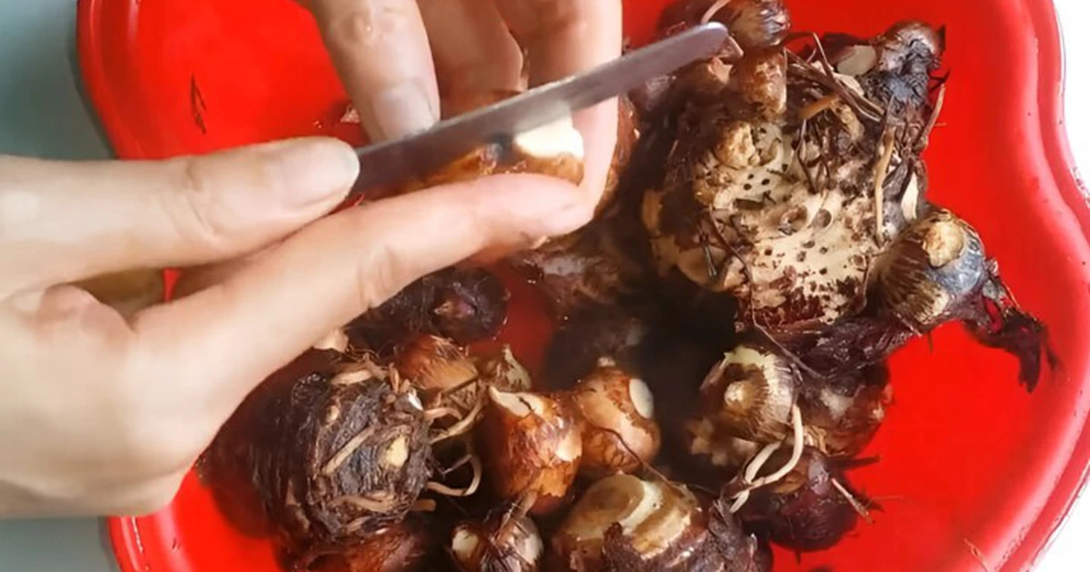 Tai Sao Got Khoai So Khoai Mon Khoai Mo Lai Bi Ngua 17284032263631138606420 0 64 448 781 Crop 172840