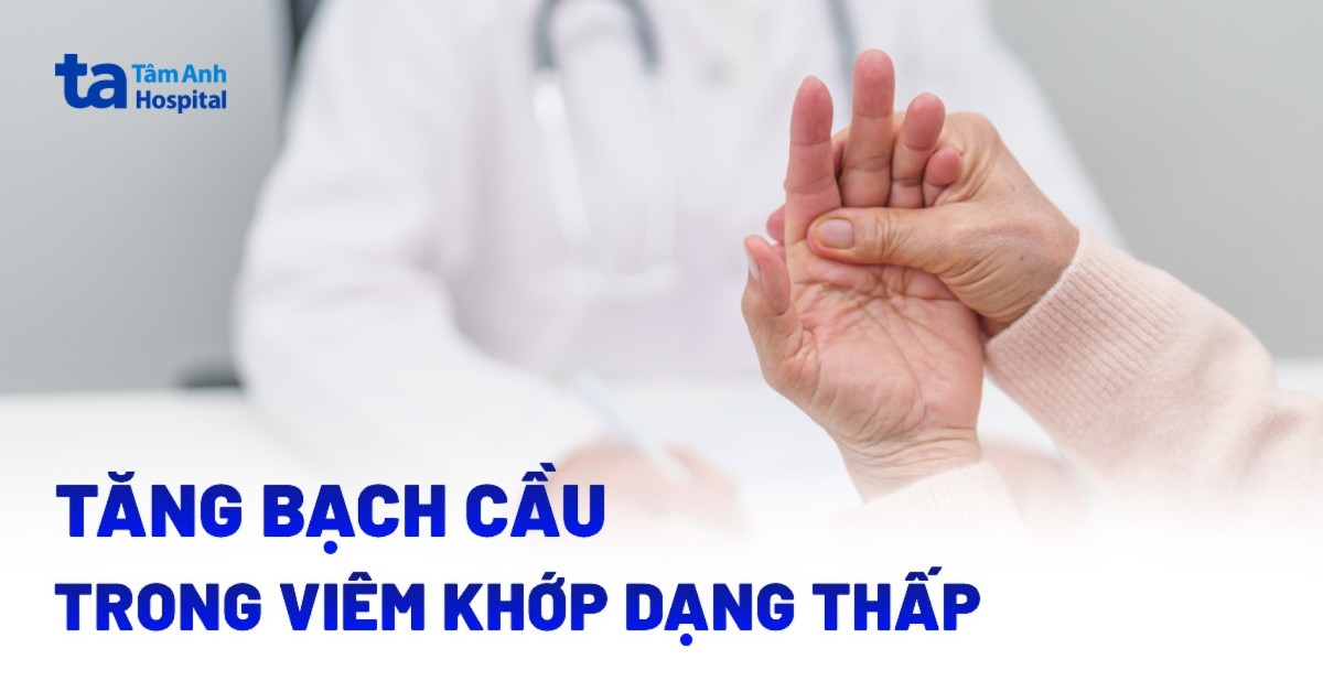 Tang Bach Cau Trong Viem Khop Dang Thap