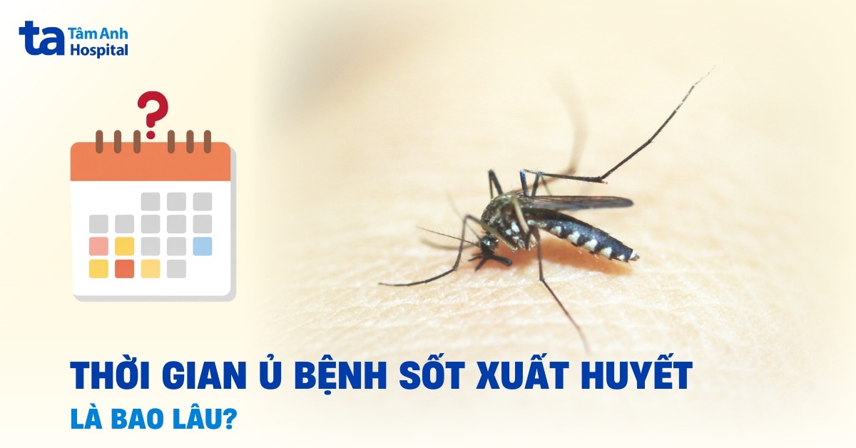 Thoi Gian U Benh Sot Xuat Huyet