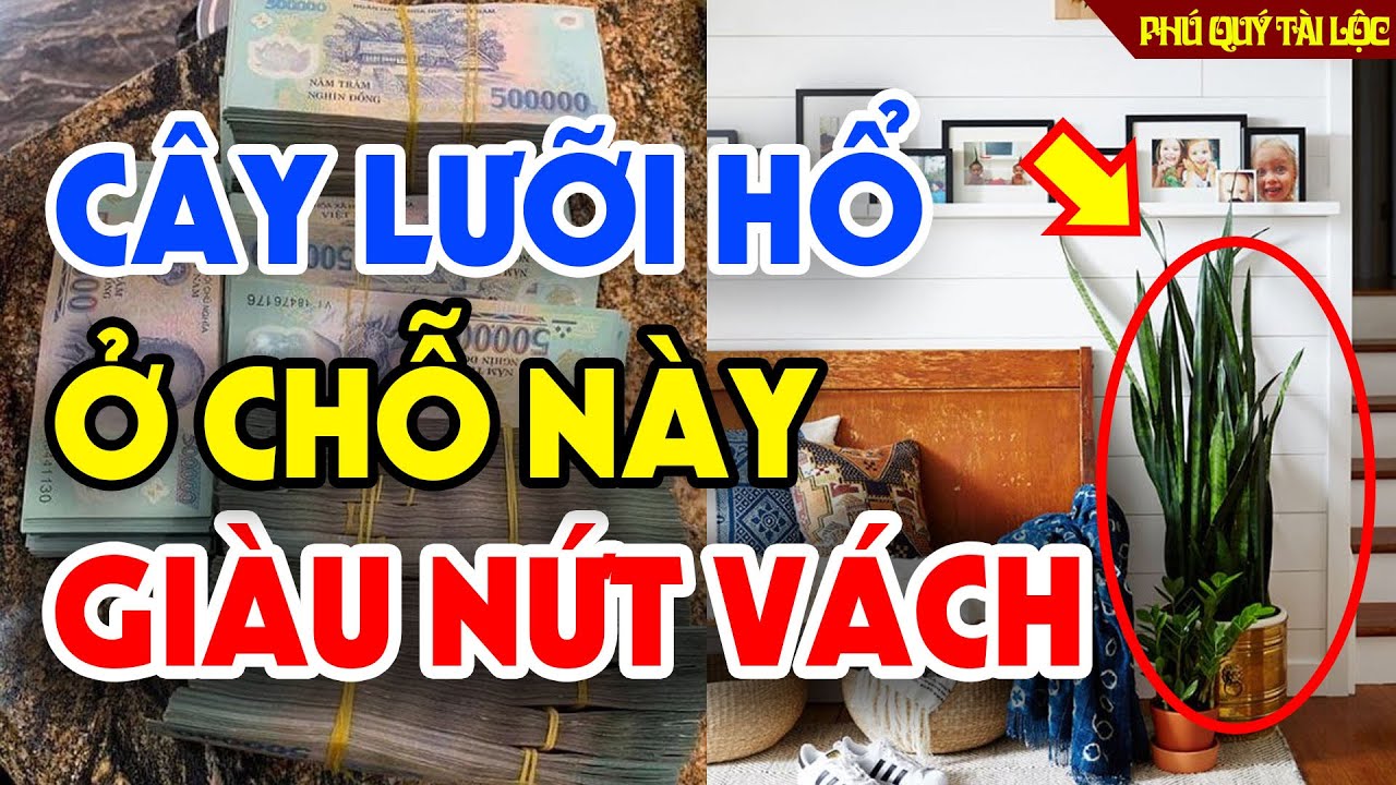 Trong Luoi Ho O Vi Tri Nay Hut Tai Loc Vao Nha Cuoi Nam Tien Ve Nhu Nuoc 100358