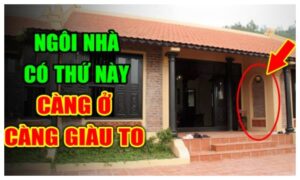 trong nha co 3 dau hieu nay diem bao may man gia chu trung so giau to 225306