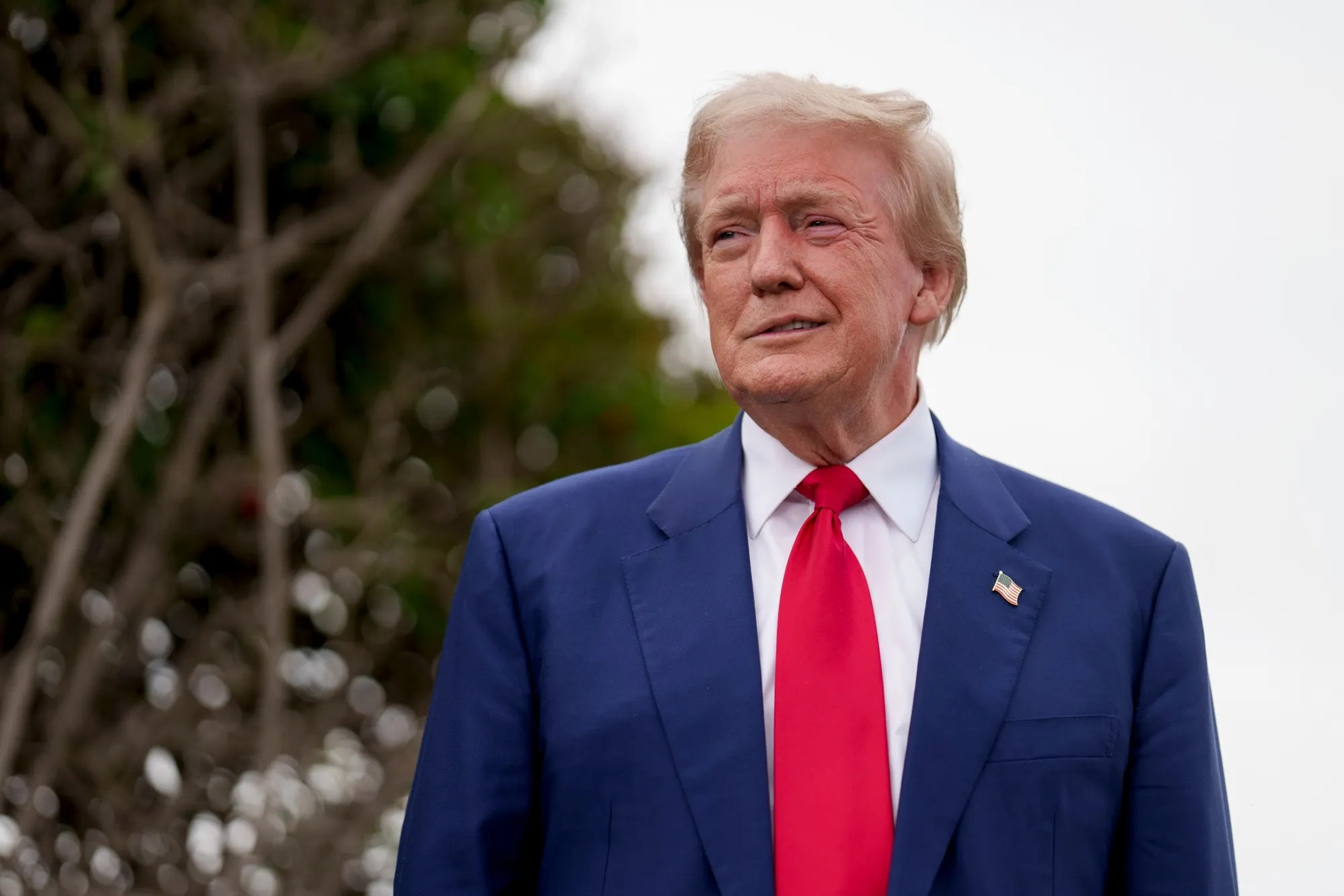 Trump Bloomberg 260