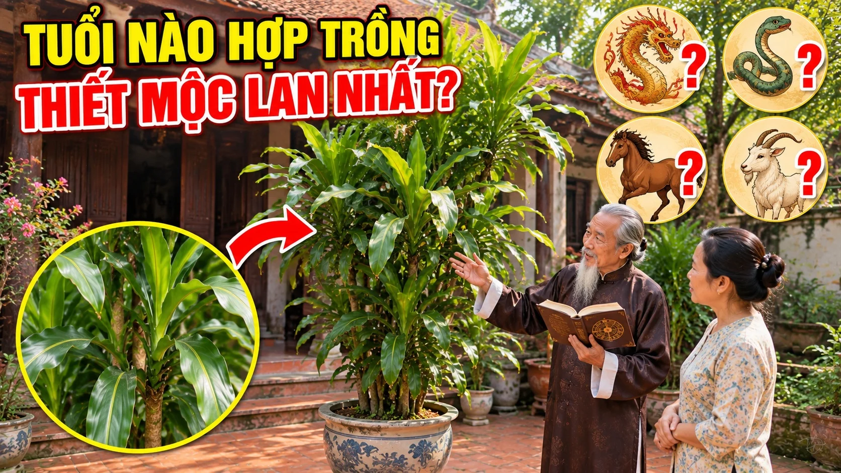 Tuoi Nao Hop Trong Thiet Moc Lan Nhat 185246