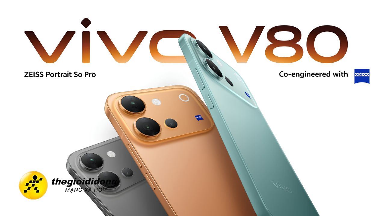 V80639269866597572136