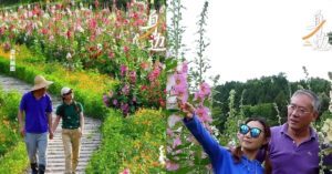 Vi Cau Noi Cua Vo Nguoi Dan Ong Danh 10 Nam Bien 80Ha Dat Can Thanh Bien Hoa 2119