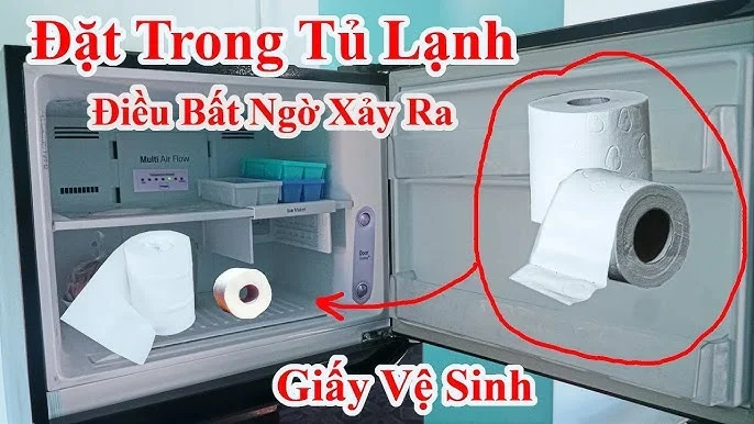 Vi Sao Nen Dat Cuon Giay Ve Sinh Vao Ngan Mat Tu Lanh 123935