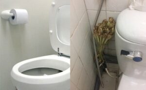 Vì sao người ta hay đặt một bó sả vào nhà vệ sinh? 1 vi sao nguoi ta hay dat mot bo sa vao nha ve sinh 224814