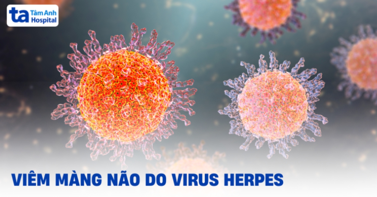 Hiểu Về Bệnh Viêm Màng Não Do Herpes Viem Mang Nao Do Herpes