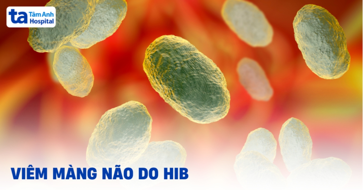 Viem Mang Nao Do Hib