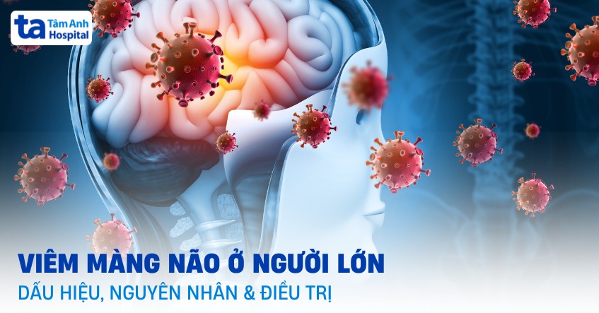Viêm Màng Não Ở Người Lớn Có Thường Xảy Ra Không? Viem Mang Nao O Nguoi Lon