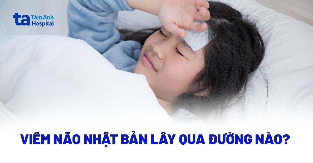 Viem Nao Nhat Ban Lay Qua Duong Nao