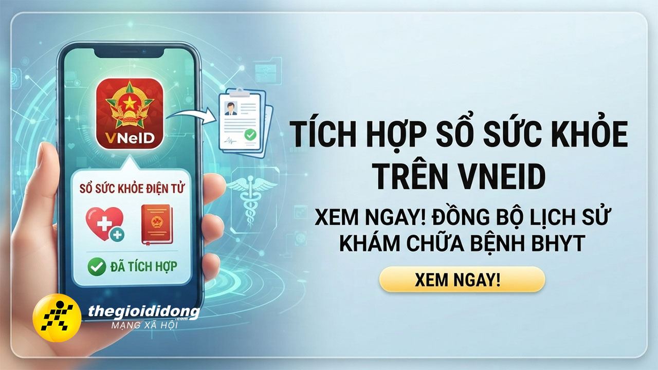 Vneid 9639270698741158153