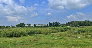 Vo Mang Chong Nhu Nhuoc Giua Dam Gio Ca Ho Noi Gian Buong Dua 54C16068B3704Db1Be3Ffa388162174C 249.J