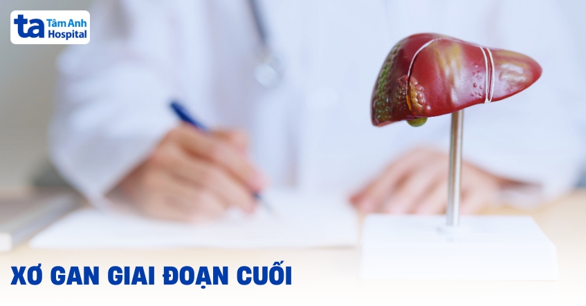 Xo Gan Giai Doan Cuoi