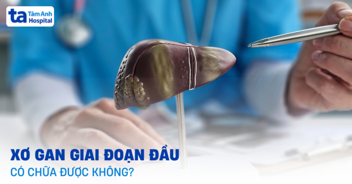 Xo Gan Giai Doan Dau