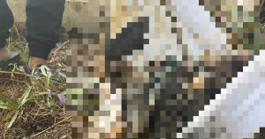 xuat hien tin sai su that sau vu phat hien thi the tai benh vien da khoa ba ria 1258