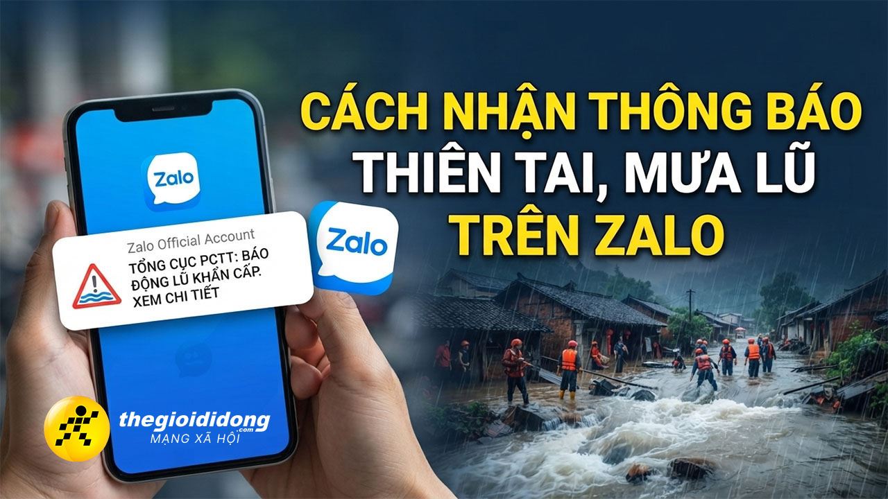 Zalo 5639271579997631751